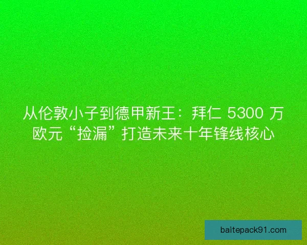 从伦敦小子到德甲新王：拜仁 5300 万欧元 “捡漏” 打造未来十年锋线核心