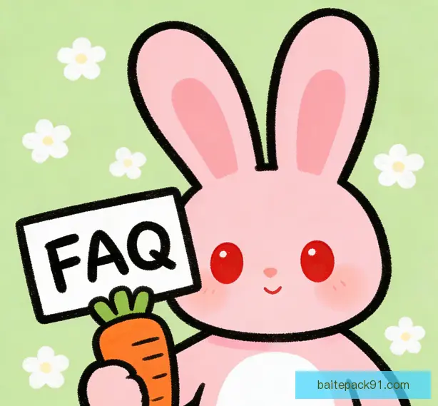 常见问题